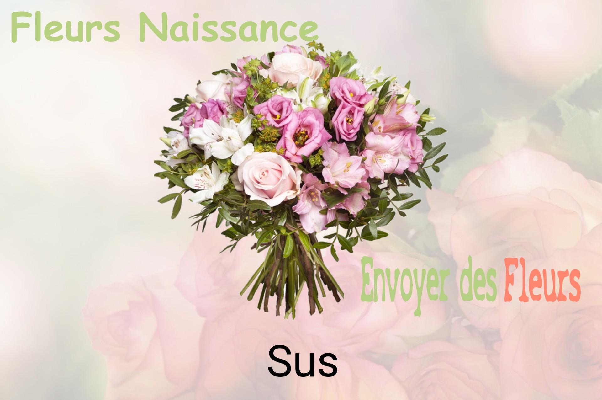 Bouquet de fleurs de naissance livré à Sus
